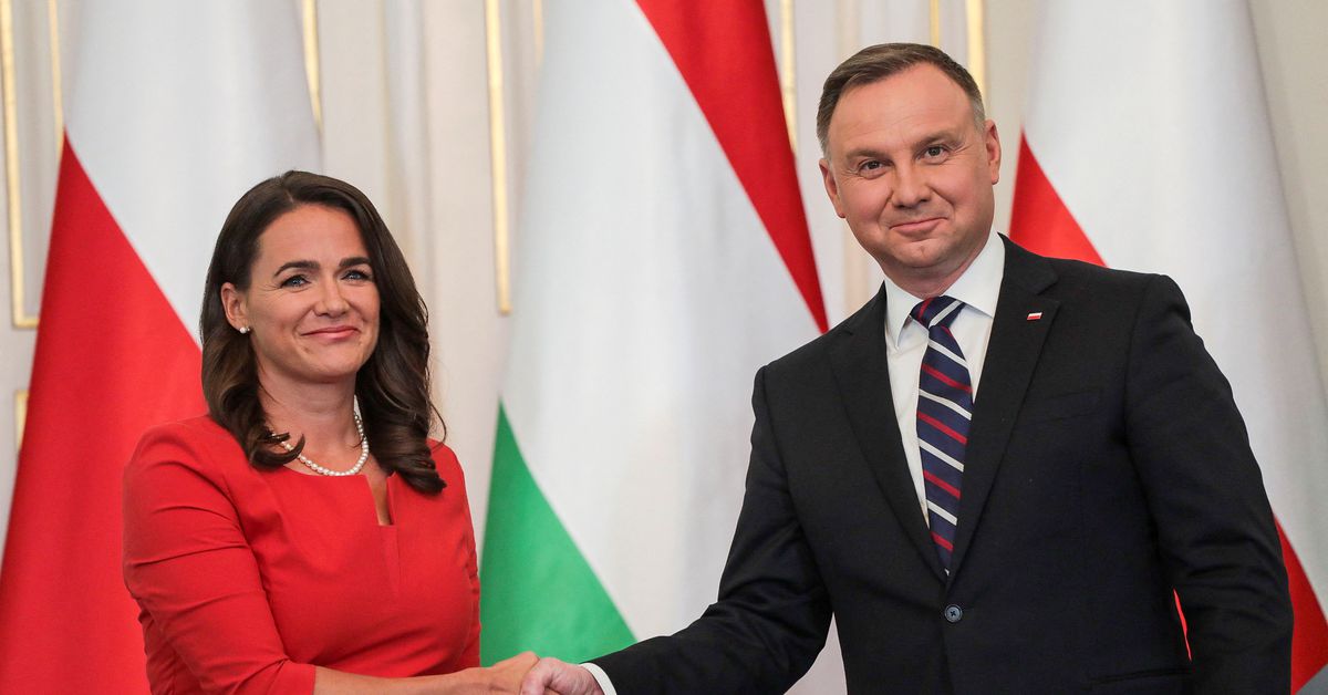 Hungary needs EU cash to diversify energy supply, Poland says