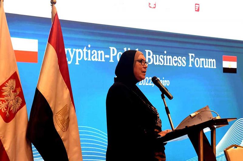 Egypt-Poland trade exchange volume hits $720 mln in 2021